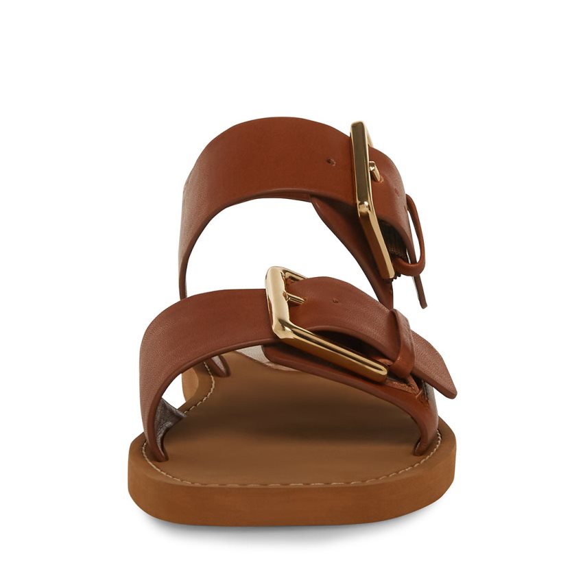 Brown Steve Madden Santo Leather Women's Flat Sandals | PH 3240GYA